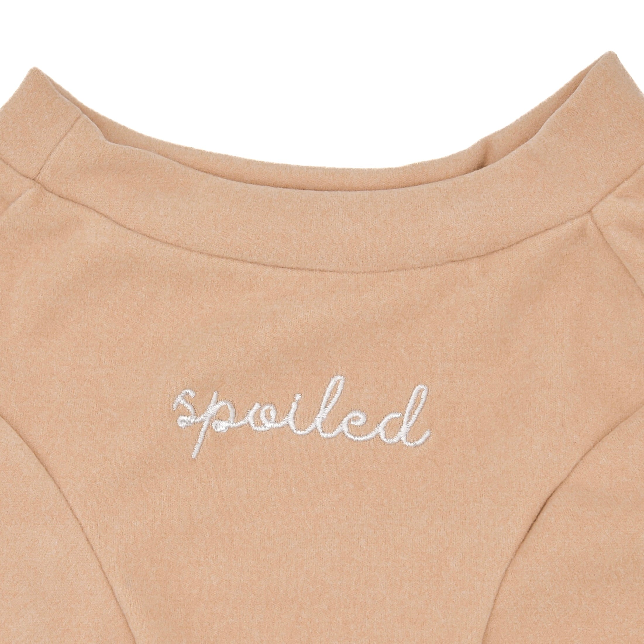 Fur Elise Spoiled Mock Neck Shirt - Latte