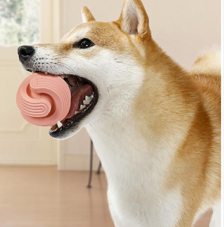 Rubber Dog Molars Teeth Relief Bouncy Ball