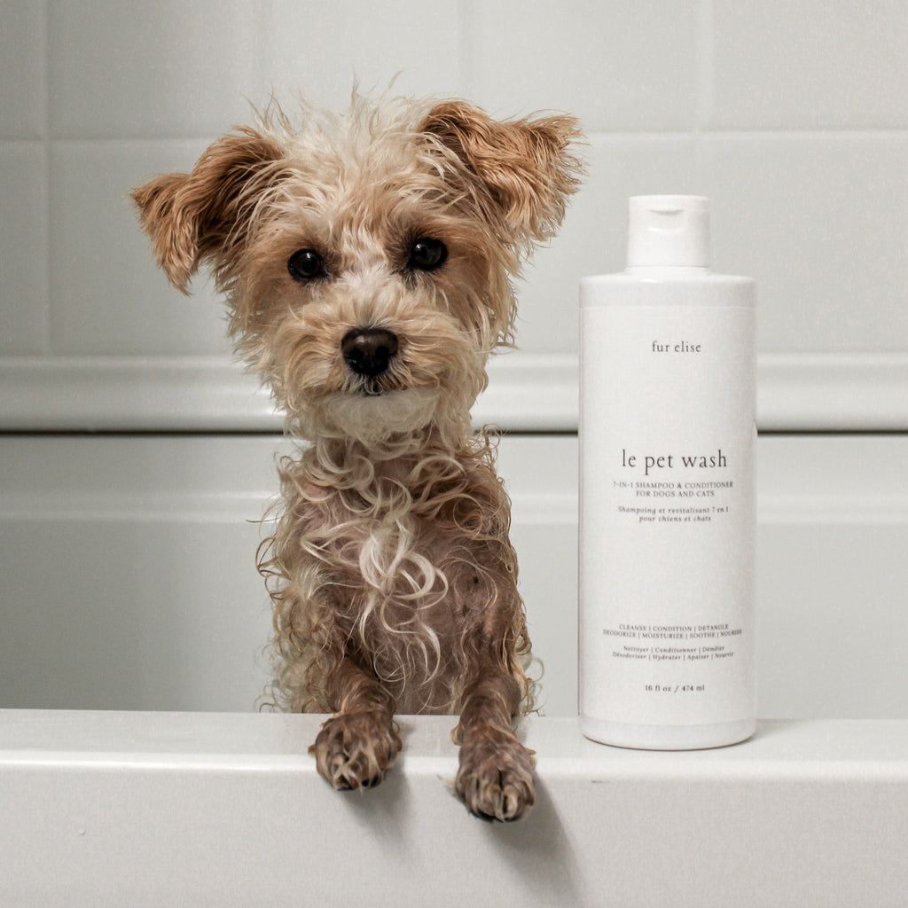 Le Pet Wash
