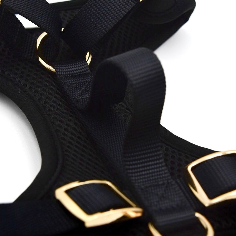 Elise Harness - Noir