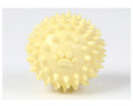 TPR pet molars interactive toy