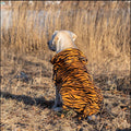 Big Clothes Year Medium-sized Large Dog