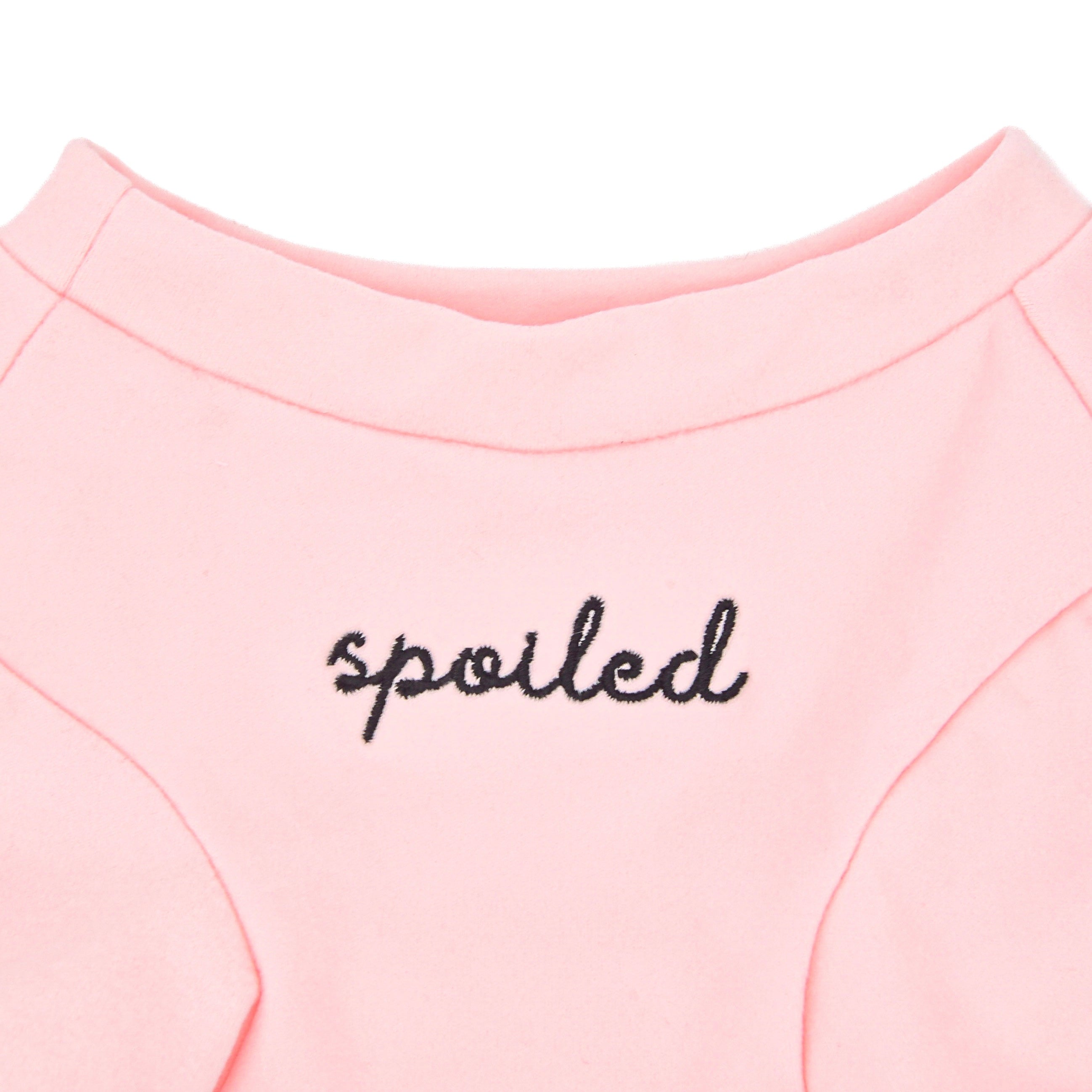 Fur Elise Spoiled Mock Neck Shirt - Blush