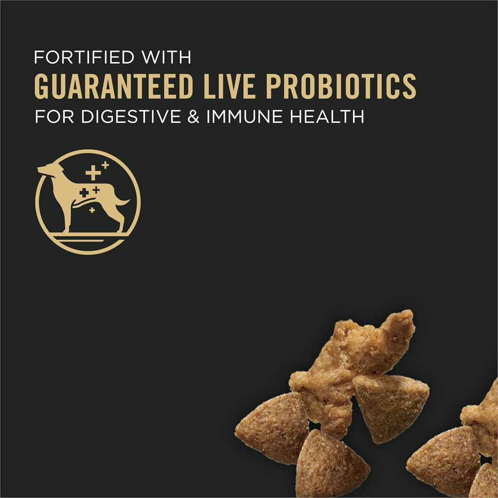 Pro Plan Adult Complete Essentials Turkey & Rice Probiotic Dry Dog Food