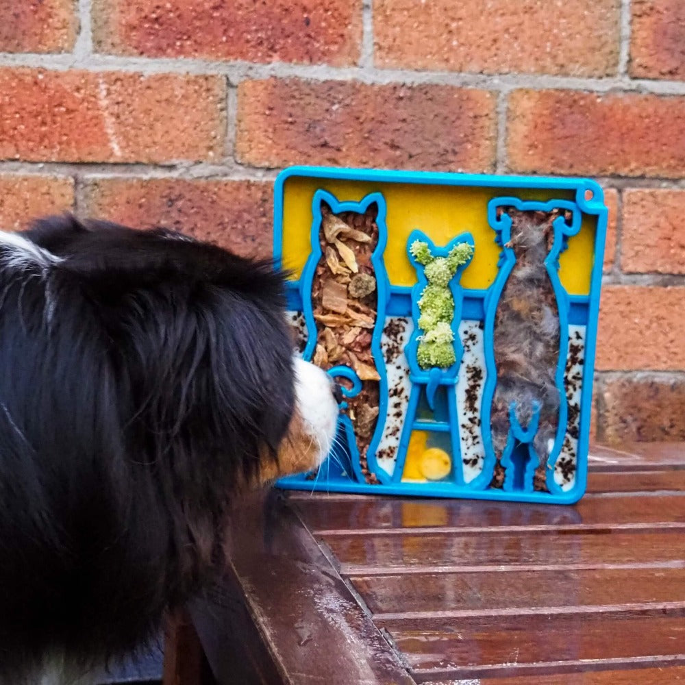 Waiting Dogs eTray - Shallow Slow Feeder Bowl for Enrichment | USA Made