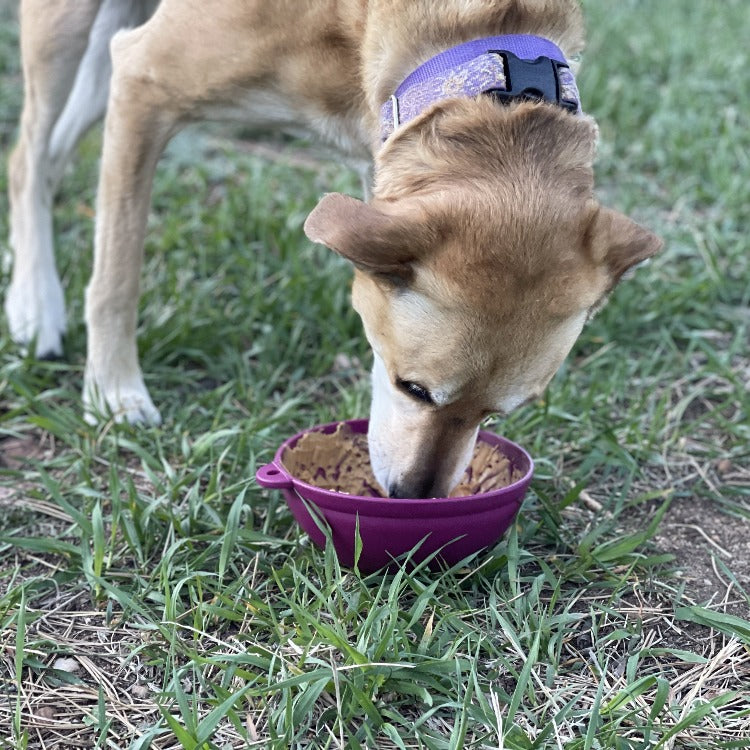 Garden of Eatin' Tipsy Bowl - Wobble Lick Mat for Dogs & Cats | USA Made