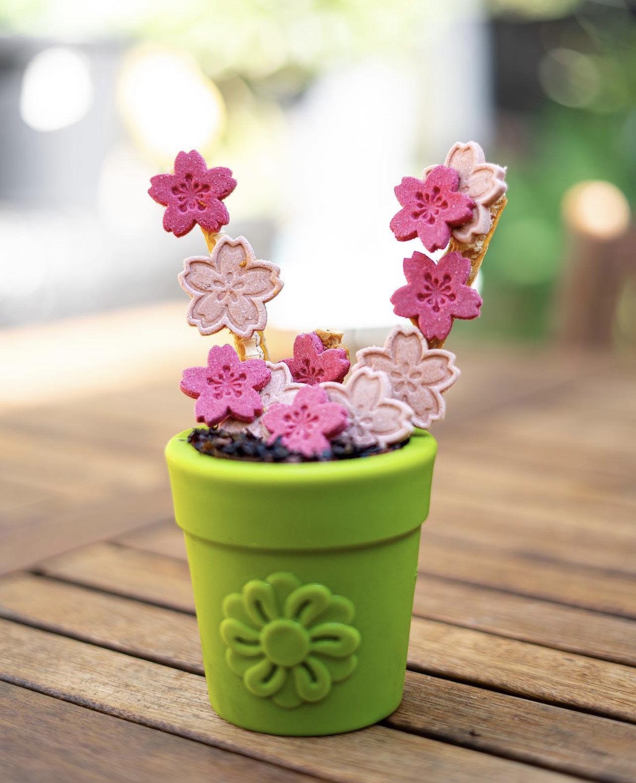 Large Flower Pot eCup Dog Treat Dispenser | Durable USA-Made Enrichment Toy | SodaPup