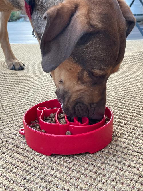 Santa Christmas eBowl Deep Slow Feeder Dog Bowl for Enrichment | USA Made