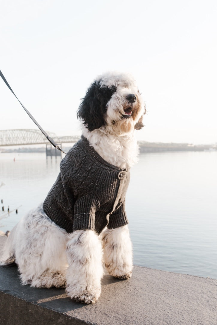 Brooklyn Cashmere Cardigan, Charcoal