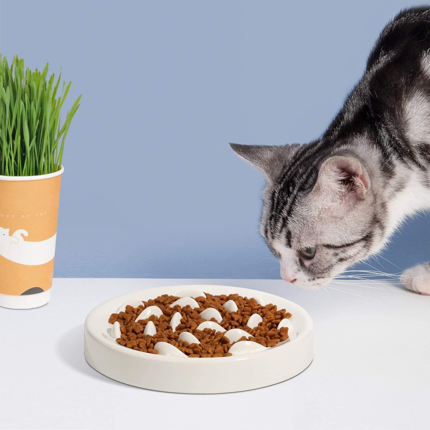 Dogs And Cats Slow Feeding Bowl Pet Bowl Cat Slow Tableware Feeder