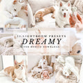 Dreamy Presets