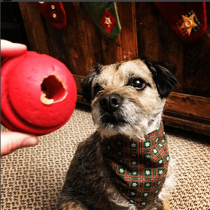USA-K9 Stars and Stripes Rubber Dog Toy | K9 Handler Reward Toy | Red | USA Made