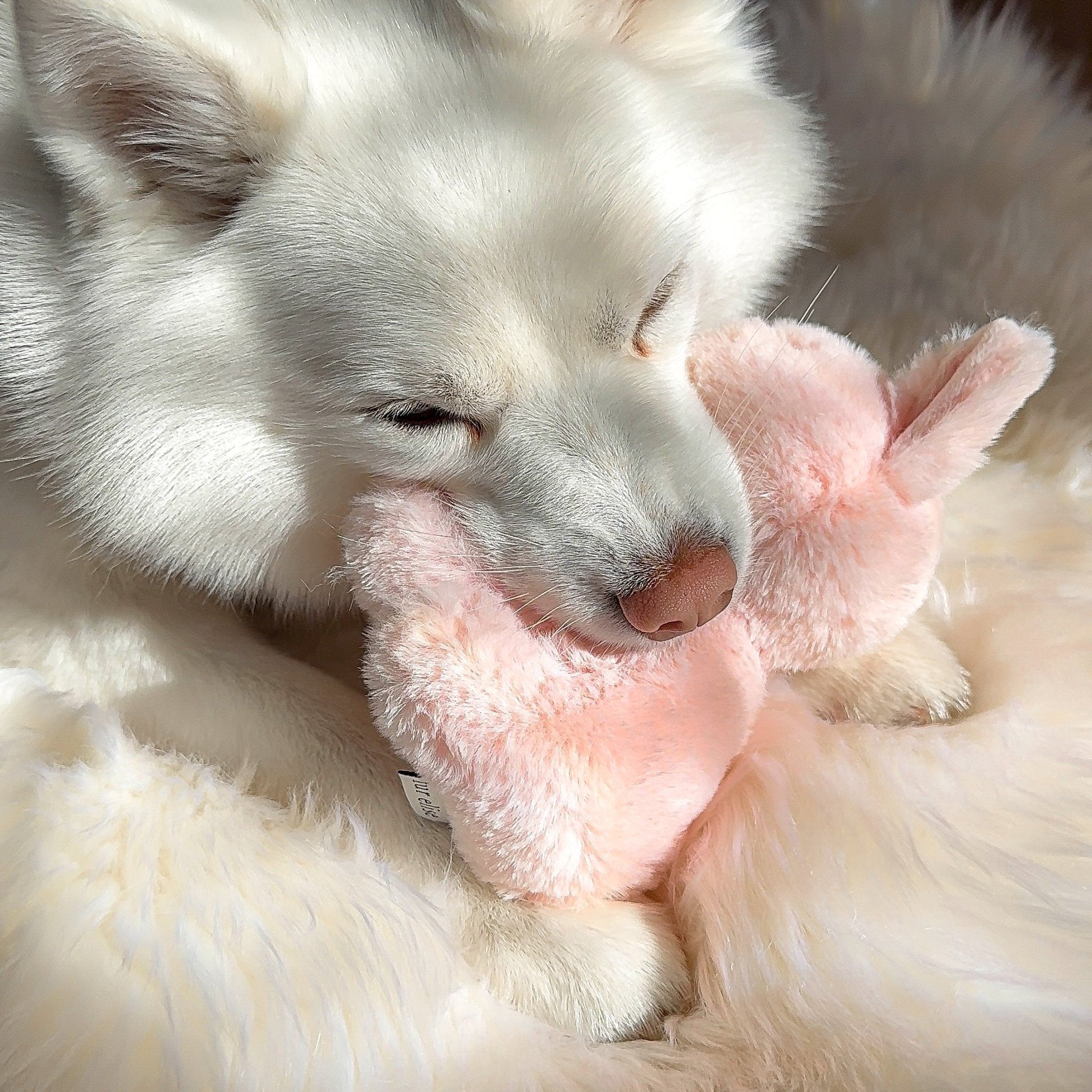 Fur Elise Ruby Plush Toy Set